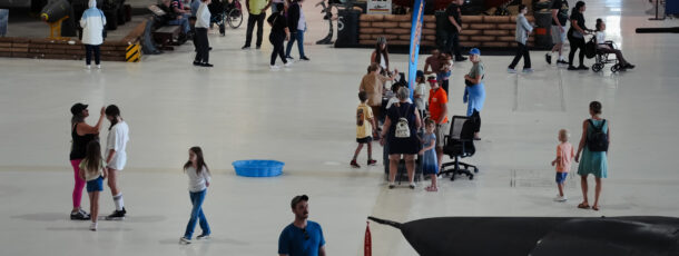 SCFD Free Day